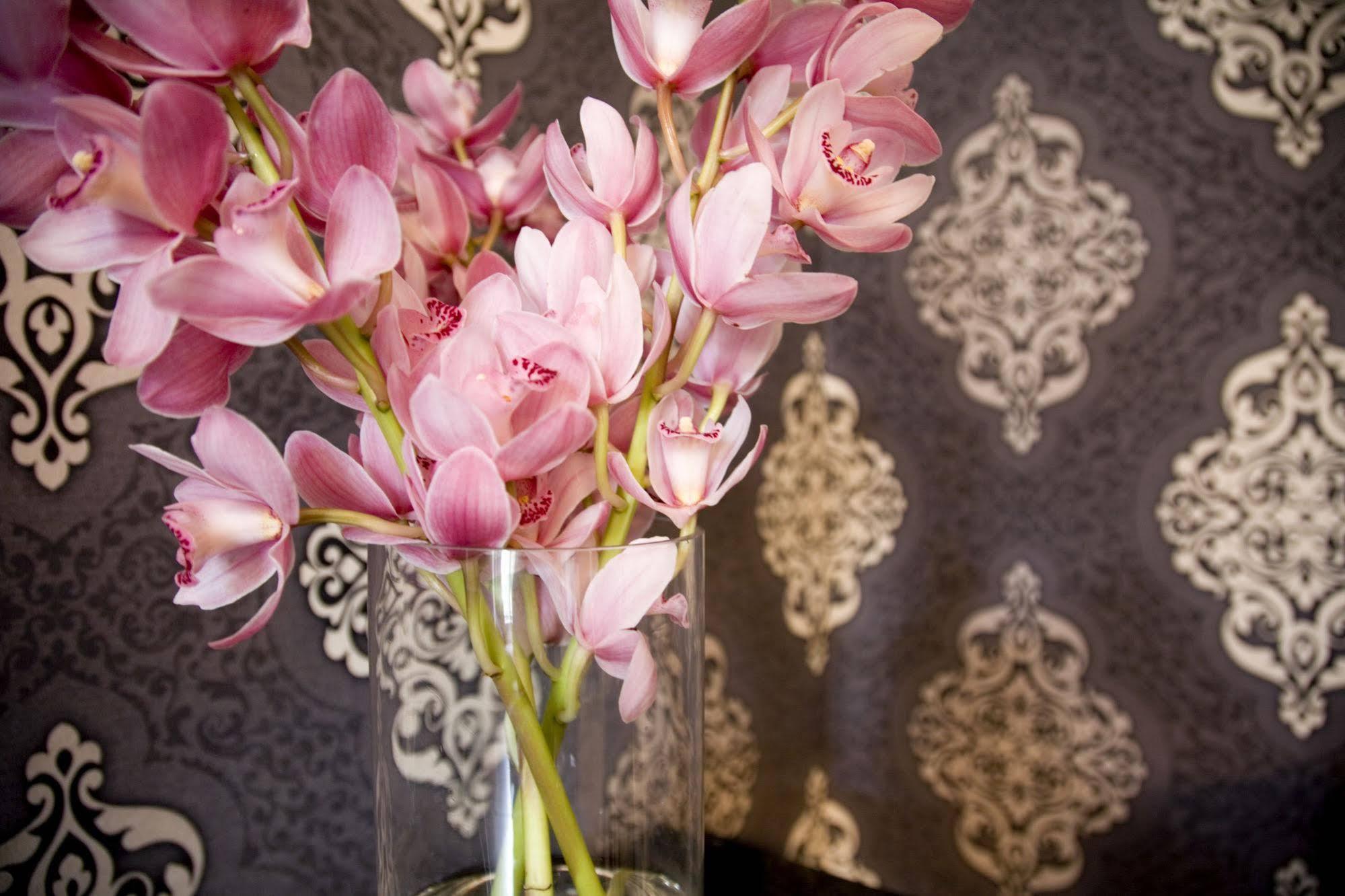 Hotel Challis Potts Point Сідней Екстер'єр фото